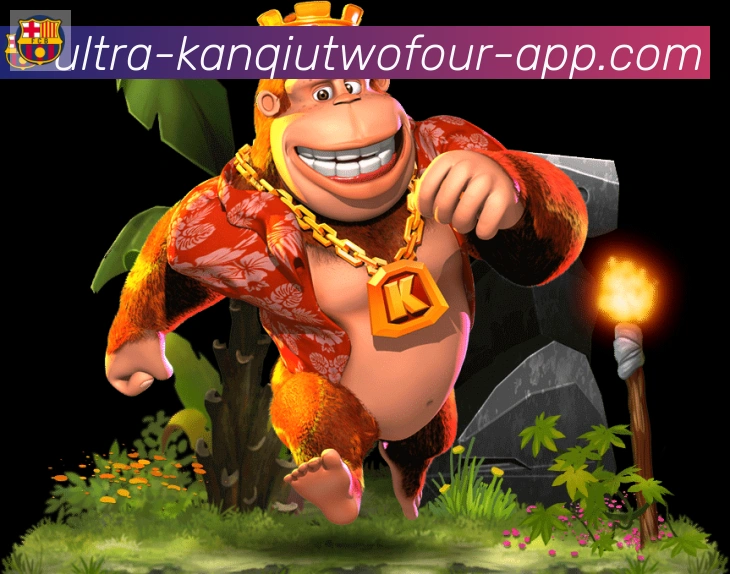 24看球直播网服务体系